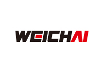 Weichai New Energy Power Technology Co., Ltd.